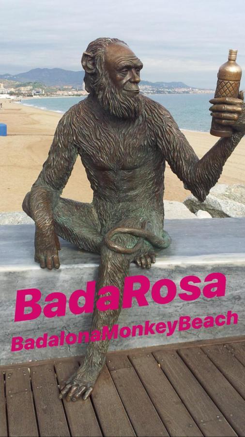 Badarosa 2 House10Min To Barceloncity&Nearto Beach Badalona Exteriér fotografie